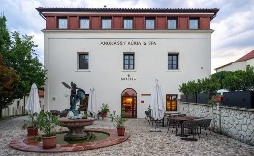 Andrássy Kúria & Spa Hotels in Tarcal