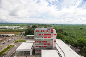 Ibis Apartadó