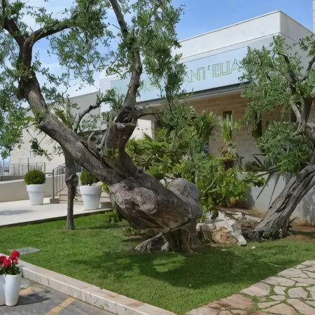 Park Hotel Sant'Elia