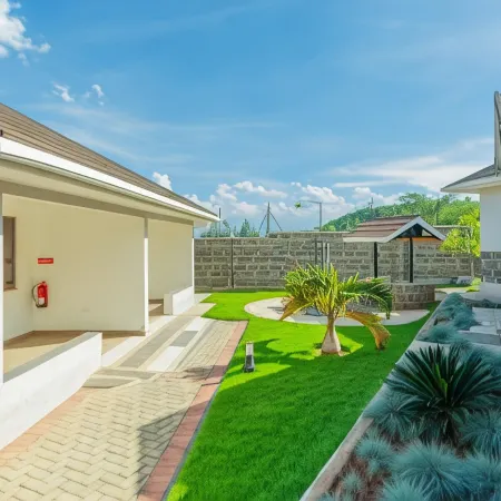 Rock Hyrax Hotel