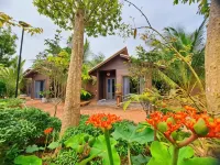 Xanh Homestay Các khách sạn ở Phù Cát
