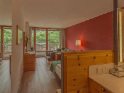 SPA Hotel Erzherzog Johann Hotels in Bad Aussee