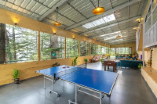 Zostel Kotgarh, Narkanda