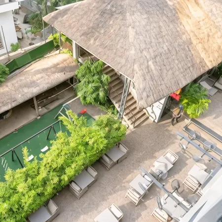 The Blowfish Hotel