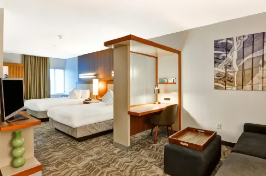 哥倫比亞SpringHill Suites酒店