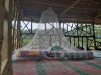 Jhony's Backpacker-Guest House only stay here book treking with us