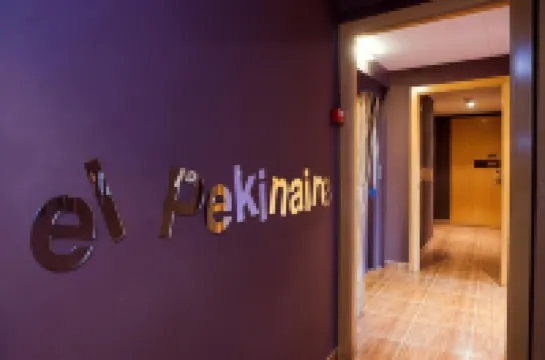 B&B 엘 페키나이레