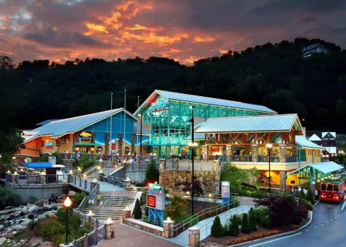 Perfect Hub: Near Gatlinburg & Pigeon Forge, Wi-Fi, New Hot Tub & Treetop Views!