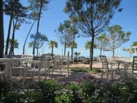 Hotel Flamingo Hotels in Korce