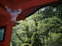 旅館　上州屋 神橋周辺のホテル