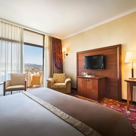 Remisens Hotel Metropol