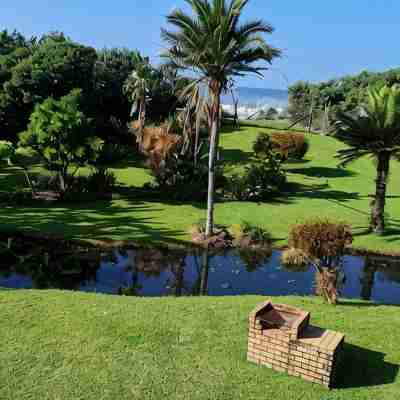 8 Oceans on the Beach 3 B/R Apartment Others