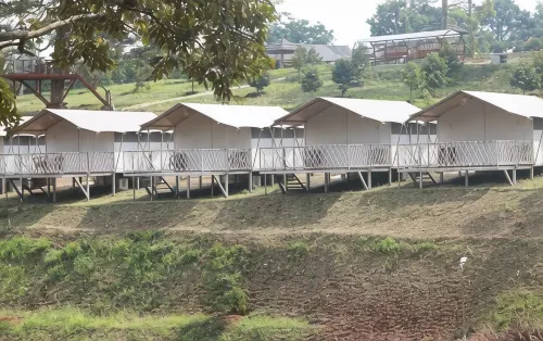 Dmangku Farm Mancak Serang