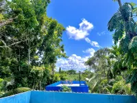 Jungle Fence - Wifi