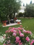 Le Clos du Jas - Homestays