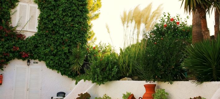 Villa Columbus Rooms and Restaurant Hotels in Calvia