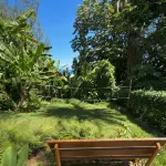 Little Diamond Jungle Home, Panoramic Ocean Views, 2 Verandas &Tropical Garden - 3-Star