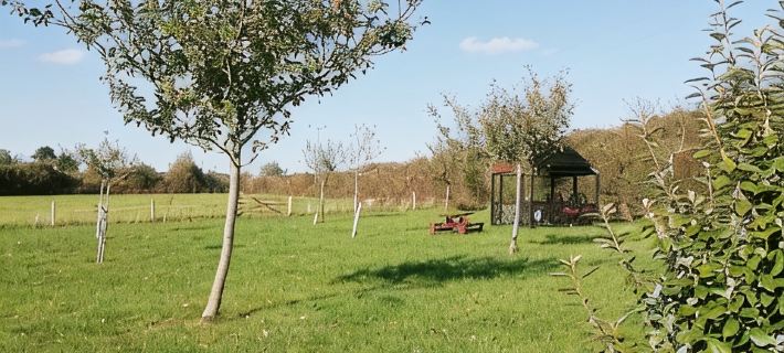 Tanglewood Cottage. Cosy Retreat for Groups & Families, Explore Dorset Hotels in Bridport