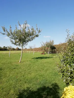 Tanglewood Cottage. Cosy Retreat for Groups & Families, Explore Dorset - WiFi