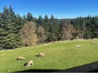 Home Away from Home - Leatherbark - Homestays