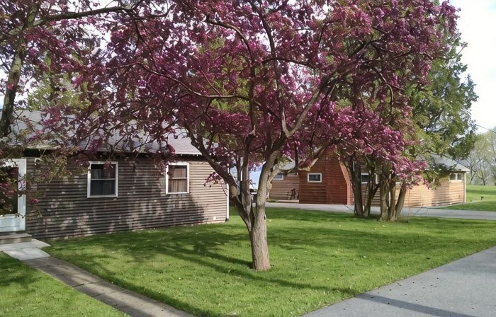 Serenity Zen House on Seneca Lake - Pet Friendly
