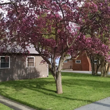 Serenity Zen House on Seneca Lake - Pet Friendly