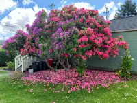 Sunny Cottage, Close to Town & Family Friendly