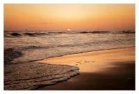 Getaway Beach Bungalow Carlsbad Village Family & Pet Friendly, 1 Block To Beach - homestay