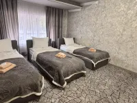 Golden Rose Hotel Hotels in Gorod Sortavala