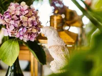 Last Word Constantia Hotels near Groot Constantia