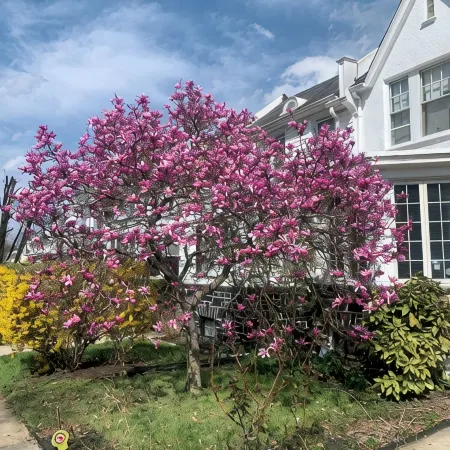 Artsy Homey Rowhouse, 3bdrm & office, quiet urban area, free parking, fast WiFi