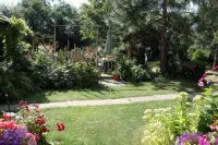 Pond View Cottage with Beautiful Views - Dog Friendly (Cosy and Tranquil)