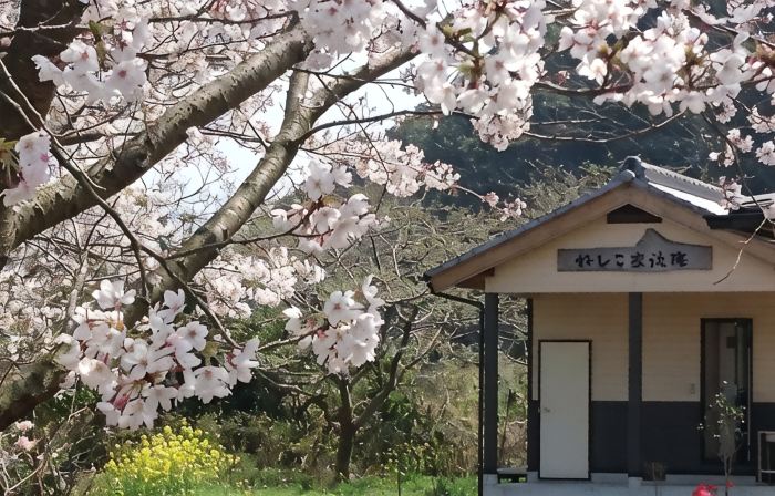 Guest House Neshiko Koryuan