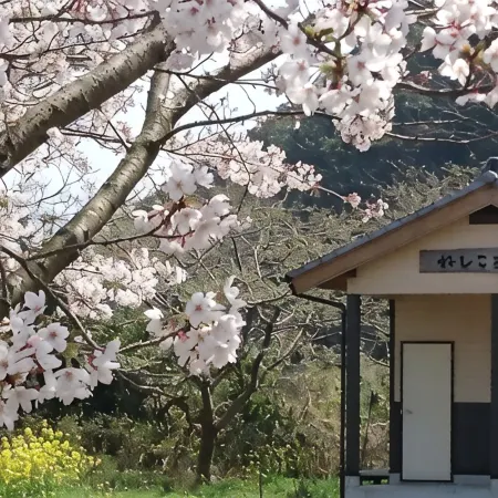 Guest House Neshiko Koryuan