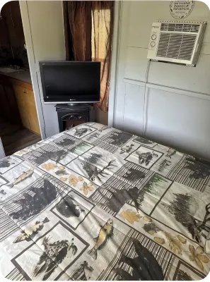 Cozy cabin on shores of Rainy Lake - fantastic fishing!