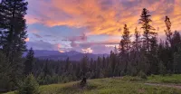 Sleep under Stars. Glamping Cabin Near Missoula - Chalets