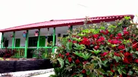 Hostal y Camping Los Girasoles - Хостел