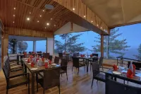TreeHouse Chail Villas - Airport Shuttle