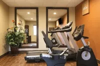 利茲I-20舒適套房酒店 - 健身室/gym room