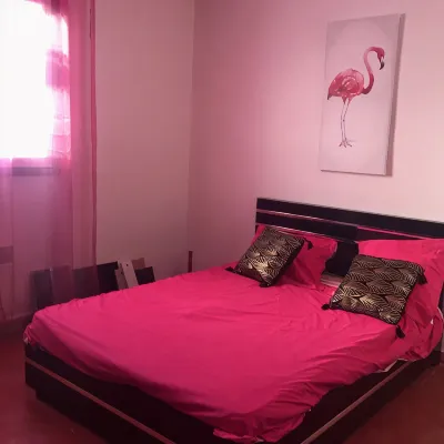 T2 air-conditioned - quiet - garden and private entrance -ST Aygulf - pets welcome. - Apartments
