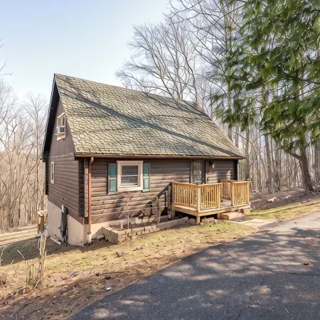 Secluded Pet-Friendly High-Tech Log Cabin in the Woods