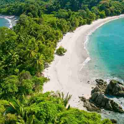 Breathtaking Ocean Vistas, Jungle Bliss, Walk to Eateries & Beach, Fast Internet Fitness & Recreational Facilities