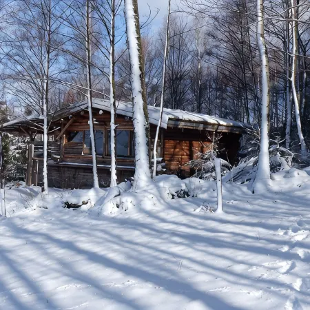 Unusual, secluded log cabin in the Vosges with luxury spa
