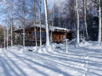 Unusual, secluded log cabin in the Vosges with luxury spa - Alppimaja