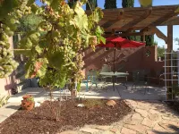 Treetop Lodge - Lose yourself in the views on the westside, close to downtown. - baignoire