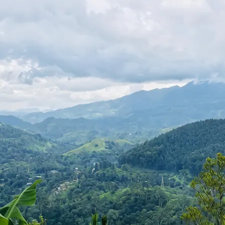 Senu Ceylon Ella
