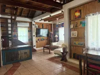 Gumbo Limbo - Seabreeze Apartment - Steps to the Ocean, Free Bikes, Free WiFi - Apartments
