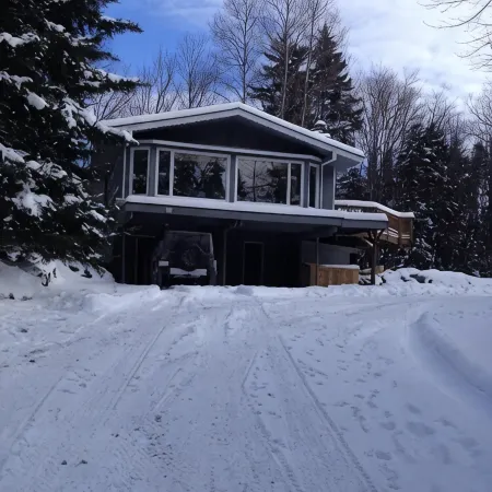 Cozy Tree Like House.  Walk to Market & Rest. Low Rates. 1 Mile to MT Snow.