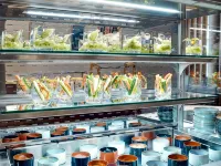 Stage 12 Hotel by Penz - servizio colazione