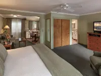 Brisas Del Mar Inn at the Beach Hotels near Moreton Bay Fig Tree